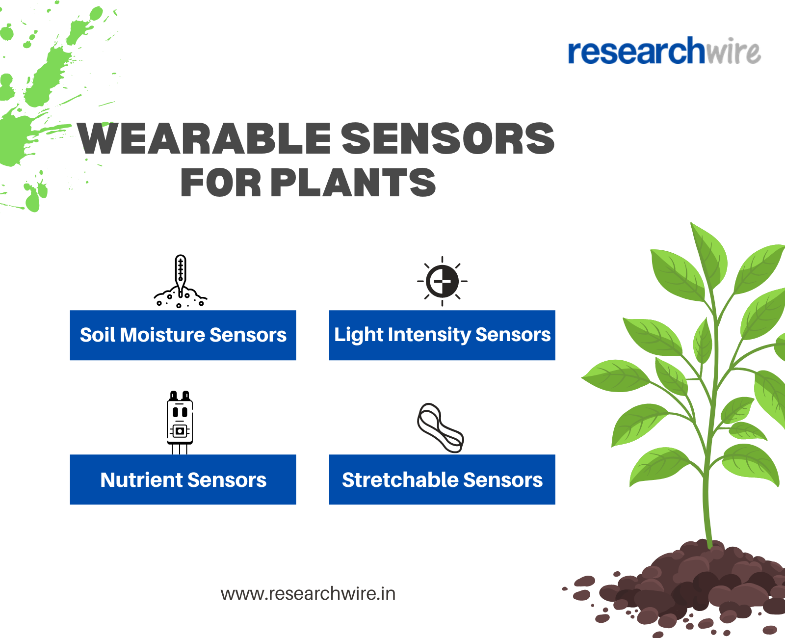 Curious About Crop Health? Discover the World of Wearable Plant Sensors!