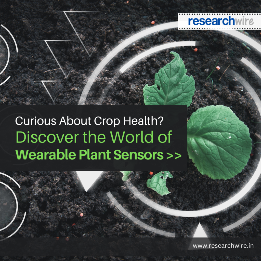 Curious About Crop Health? Discover the World of Wearable Plant Sensors!